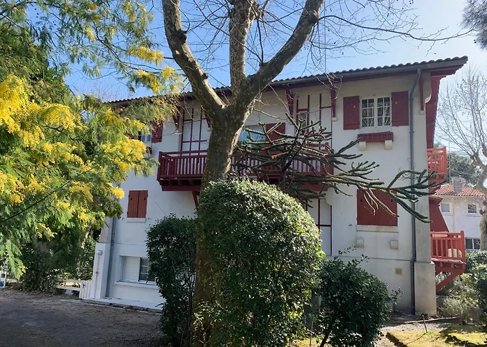 Le Ptit Moulleau Appartement *